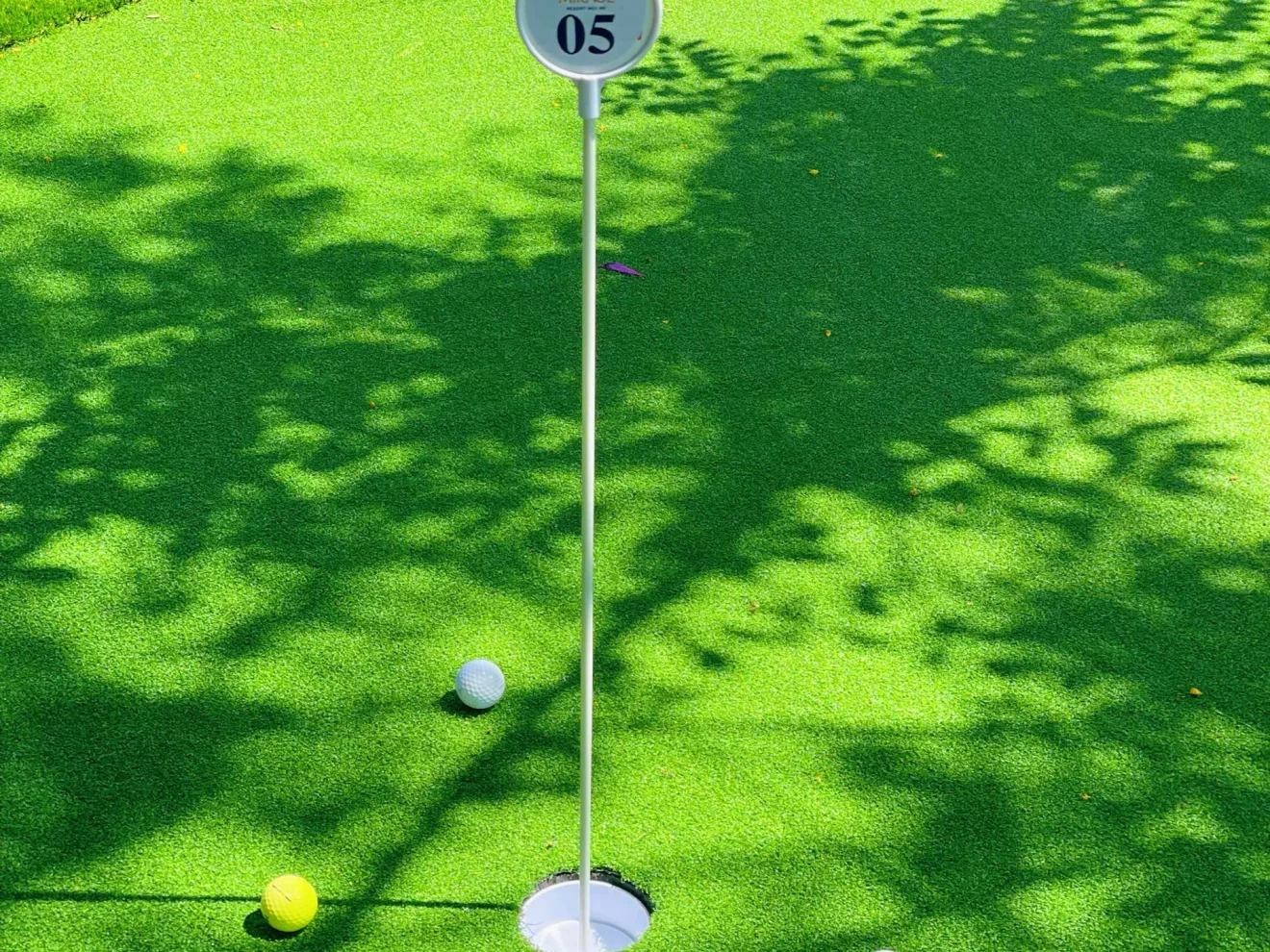 E-Zone Golf